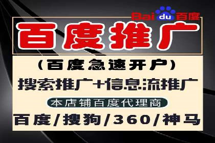 成功案例：sem竞价托管的智慧与策略
